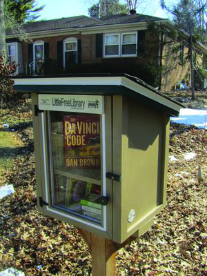 The Little Free Library near Everett Elementary School.  