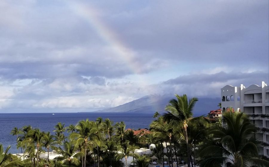 My friend Linde sent me this photo of her spring vacation in Hawaii. What are your spring break plans?
