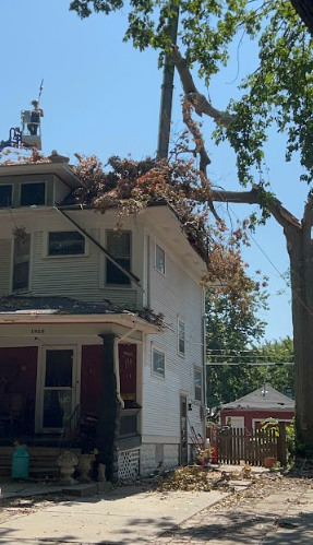 On April 26, 2024, an EF 4 level tornado swept through Elkorn, Nebraska, destroying many buildings around the area. Dennis Kann, a resident in the area, received destruction to his house from a fallen tree, causing &#36;60,000 in damage.