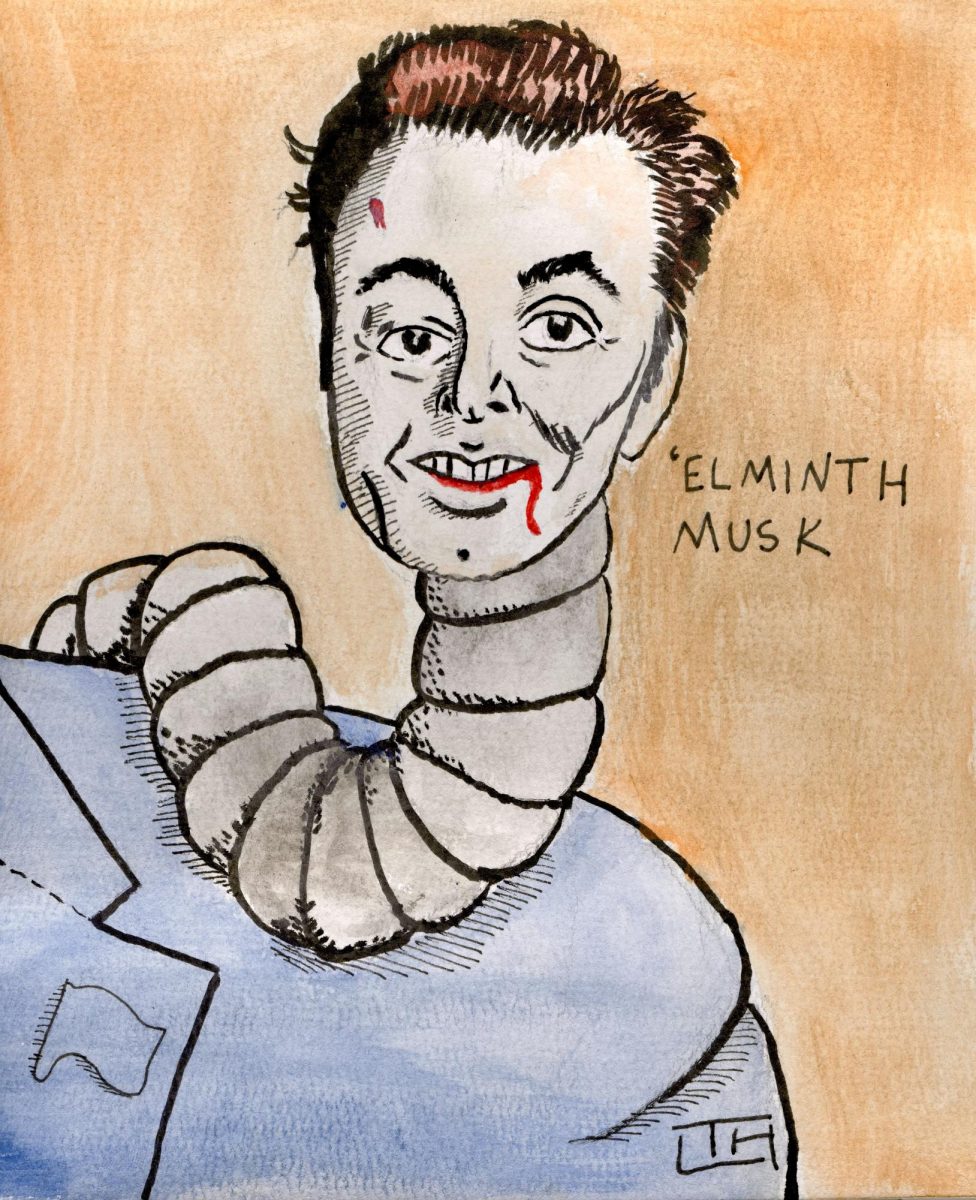 Elminth Musk