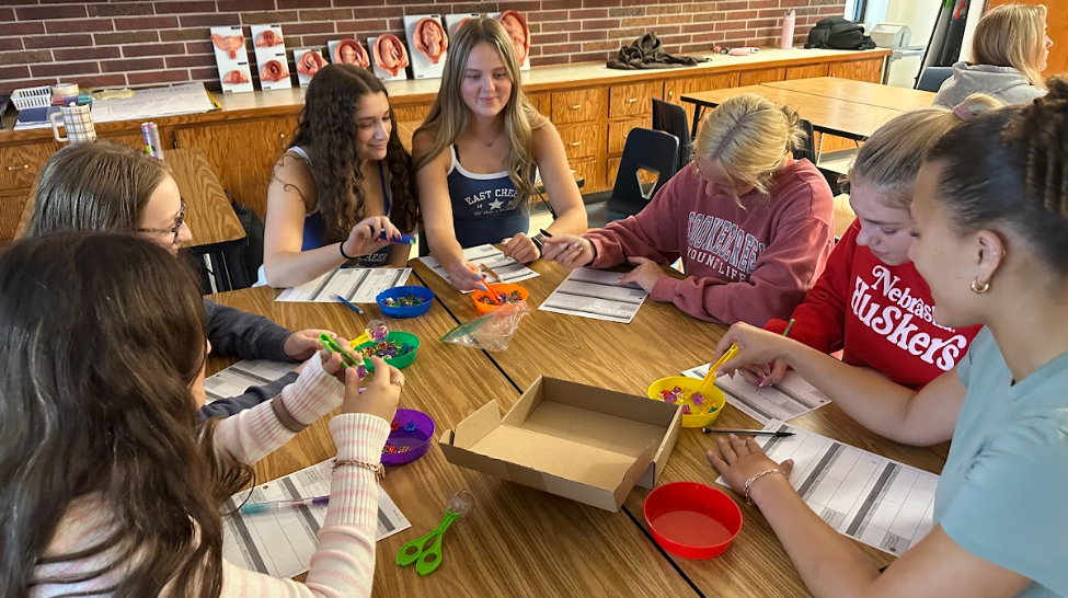 Students in the new education and teaching class play with children's blocks in order to build a connection with younger kids. It is currently taught third period, and provides students with an opportunity to try out teaching to see if it interests them.