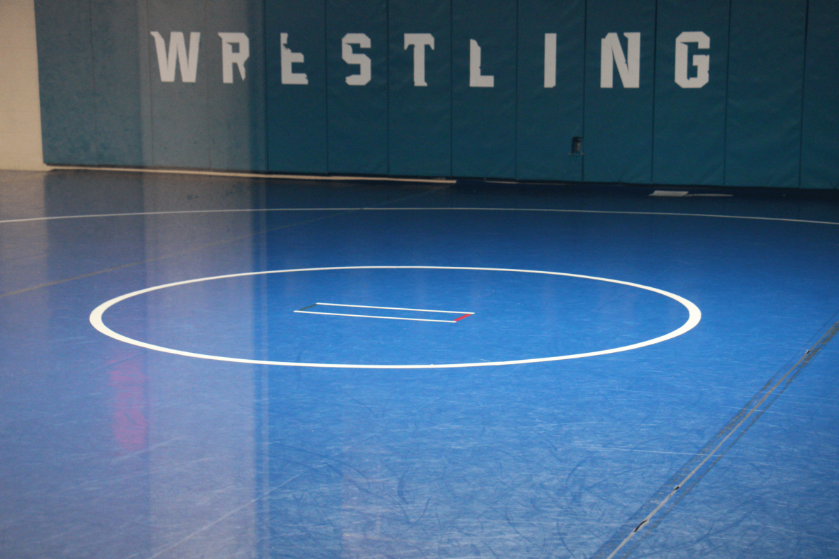 Lincoln East's Wrestling team trains on these very mats daily, working on technique and power. The athletes show true grit as they strive to return to the podiums.